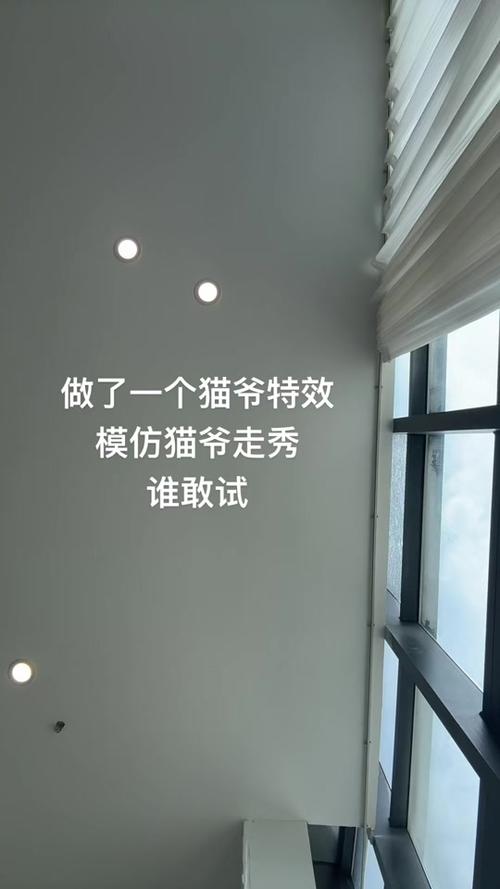 网红猫爷涨粉近70万,网红猫爷是谁